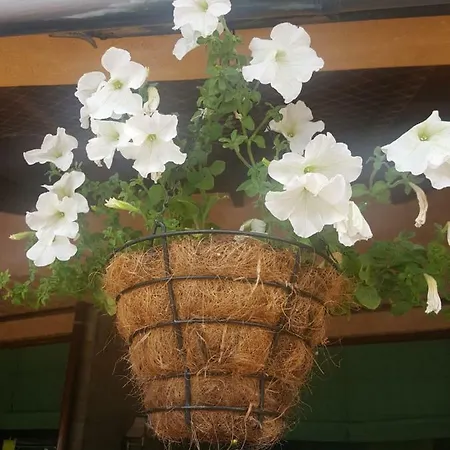 Complex Golden Dreams Ξενοδοχείο με διαμερίσματα